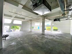 Upper Changi Road North (D17), Shop House #453470941
